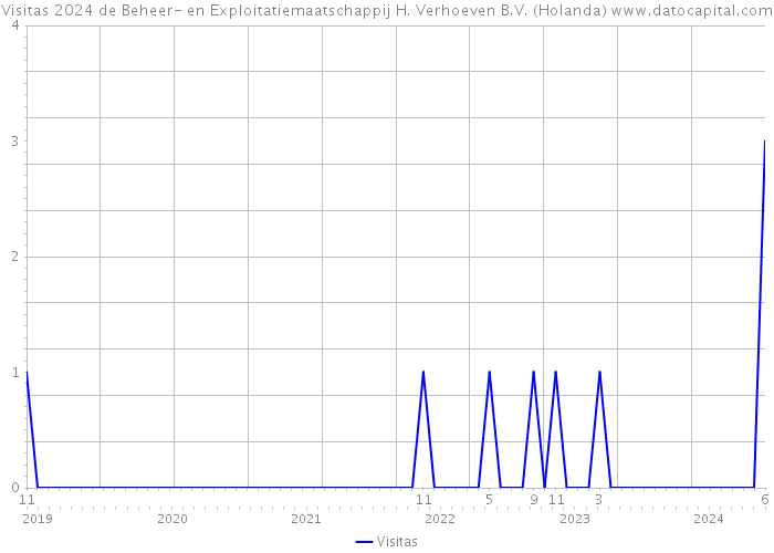 Visitas 2024 de Beheer- en Exploitatiemaatschappij H. Verhoeven B.V. (Holanda) 