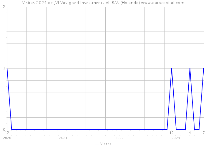 Visitas 2024 de JVI Vastgoed Investments VII B.V. (Holanda) 