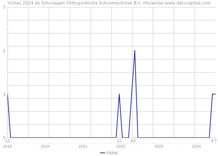 Visitas 2024 de Schonagen Orthopedische Schoentechniek B.V. (Holanda) 