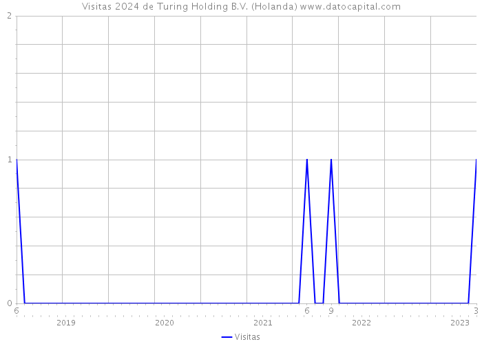 Visitas 2024 de Turing Holding B.V. (Holanda) 