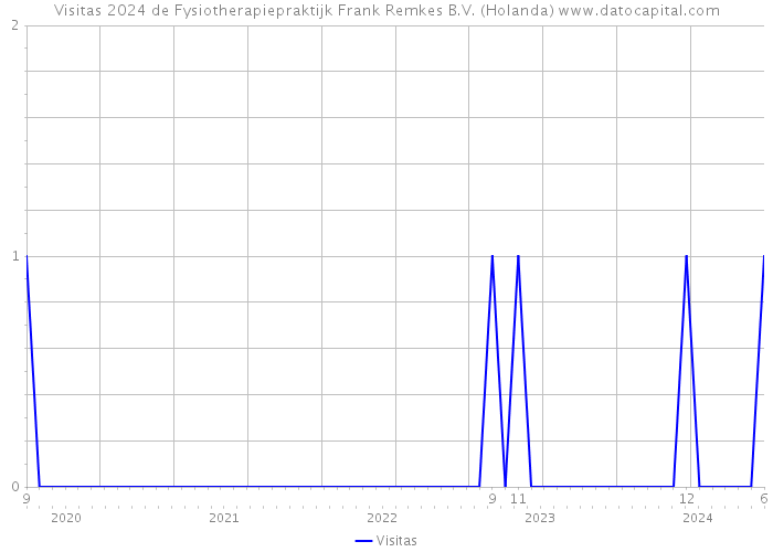 Visitas 2024 de Fysiotherapiepraktijk Frank Remkes B.V. (Holanda) 