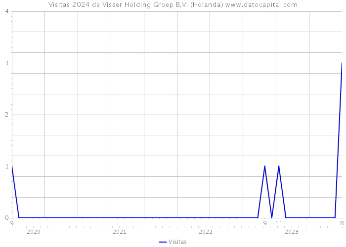 Visitas 2024 de Visser Holding Groep B.V. (Holanda) 