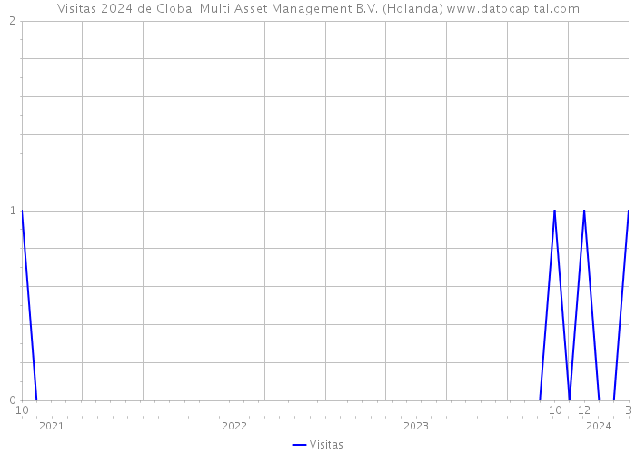 Visitas 2024 de Global Multi Asset Management B.V. (Holanda) 