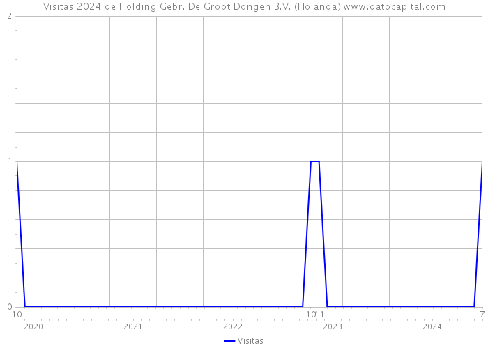 Visitas 2024 de Holding Gebr. De Groot Dongen B.V. (Holanda) 