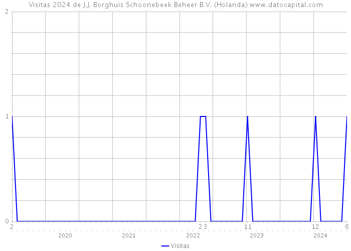 Visitas 2024 de J.J. Borghuis Schoonebeek Beheer B.V. (Holanda) 
