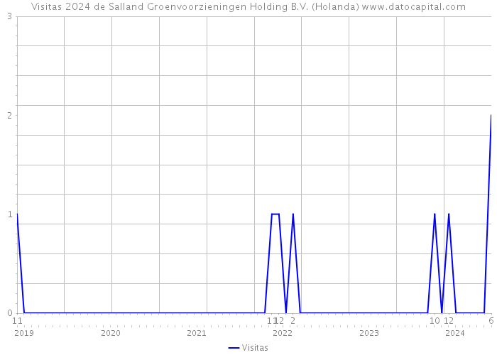 Visitas 2024 de Salland Groenvoorzieningen Holding B.V. (Holanda) 