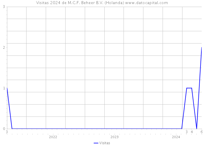 Visitas 2024 de M.C.F. Beheer B.V. (Holanda) 