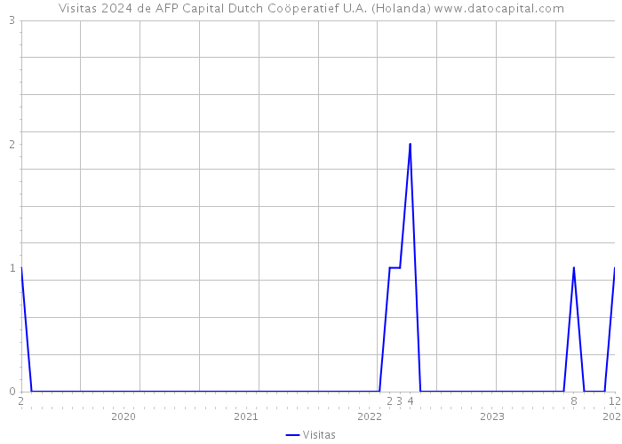 Visitas 2024 de AFP Capital Dutch Coöperatief U.A. (Holanda) 