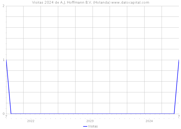 Visitas 2024 de A.J. Hoffmann B.V. (Holanda) 