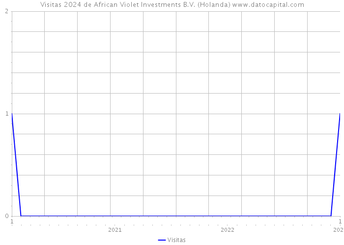 Visitas 2024 de African Violet Investments B.V. (Holanda) 