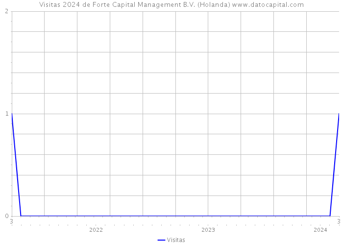 Visitas 2024 de Forte Capital Management B.V. (Holanda) 