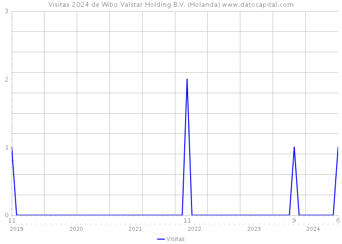 Visitas 2024 de Wibo Valstar Holding B.V. (Holanda) 