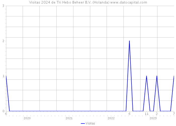 Visitas 2024 de Tri Hebo Beheer B.V. (Holanda) 