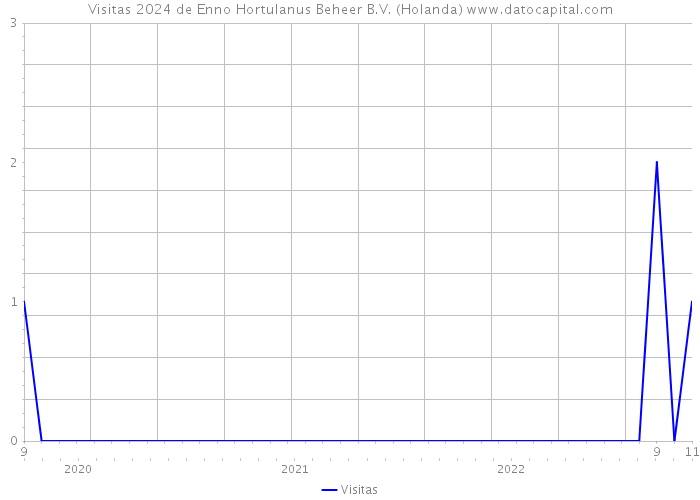 Visitas 2024 de Enno Hortulanus Beheer B.V. (Holanda) 