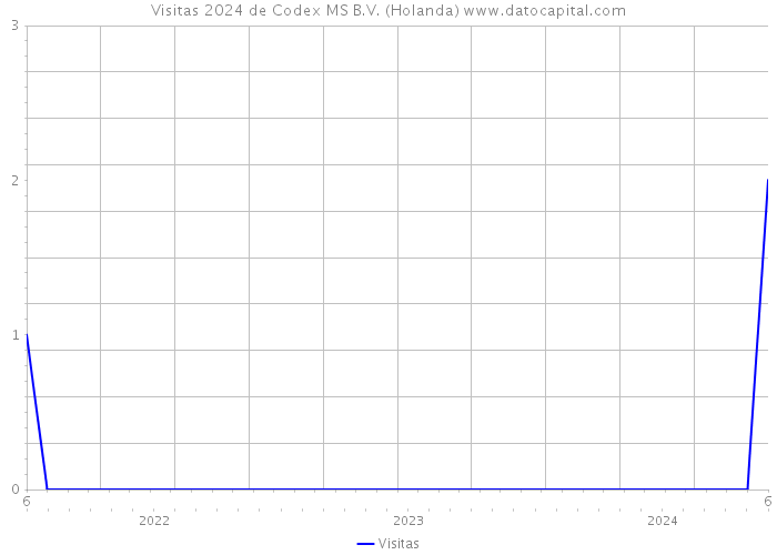 Visitas 2024 de Codex MS B.V. (Holanda) 