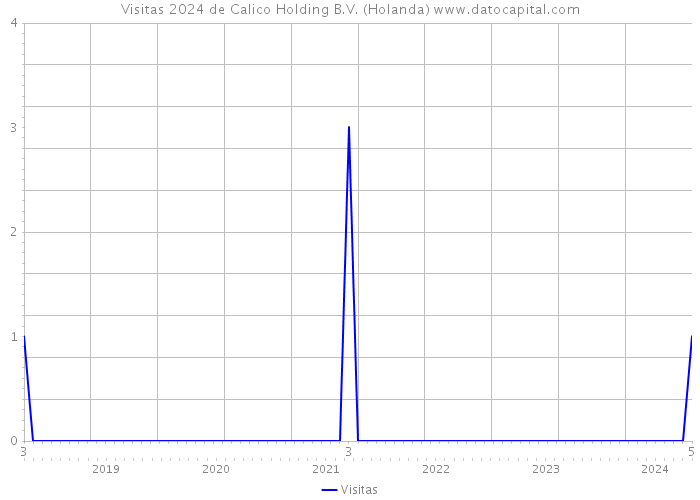 Visitas 2024 de Calico Holding B.V. (Holanda) 