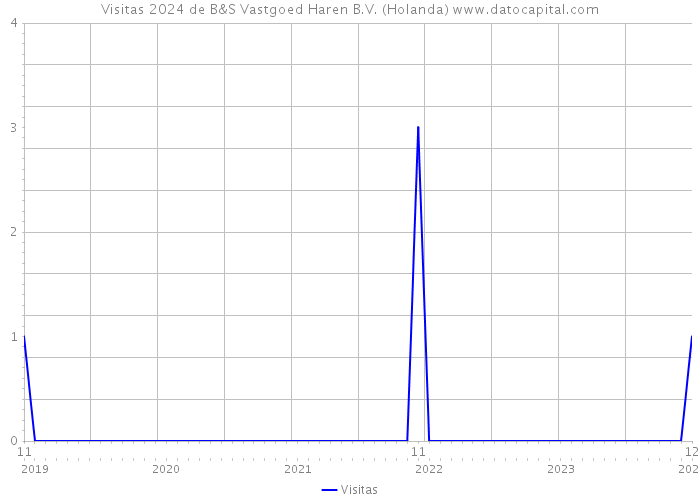 Visitas 2024 de B&S Vastgoed Haren B.V. (Holanda) 