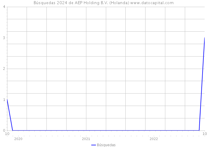 Búsquedas 2024 de AEP Holding B.V. (Holanda) 