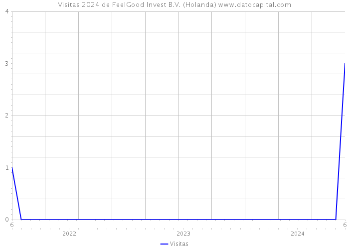 Visitas 2024 de FeelGood Invest B.V. (Holanda) 