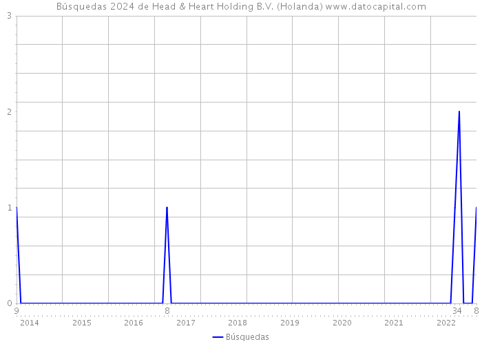 Búsquedas 2024 de Head & Heart Holding B.V. (Holanda) 