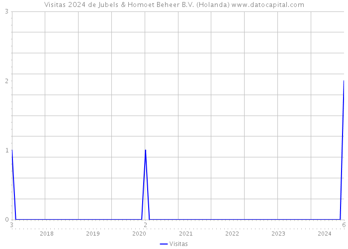 Visitas 2024 de Jubels & Homoet Beheer B.V. (Holanda) 