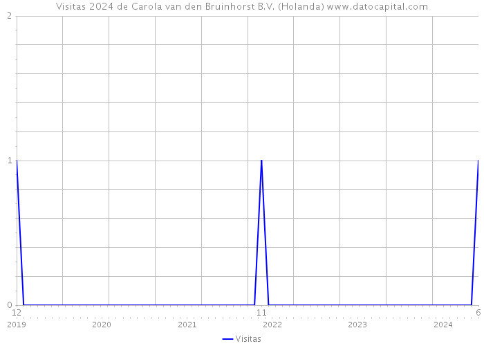 Visitas 2024 de Carola van den Bruinhorst B.V. (Holanda) 