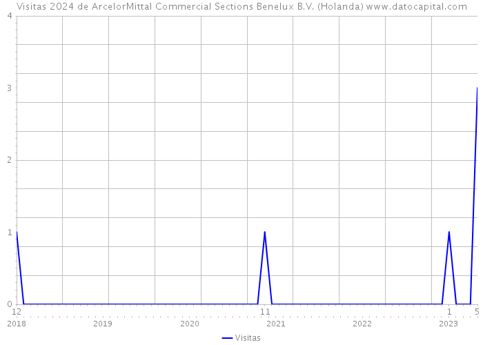 Visitas 2024 de ArcelorMittal Commercial Sections Benelux B.V. (Holanda) 