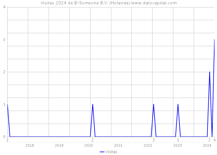 Visitas 2024 de B-Someone B.V. (Holanda) 