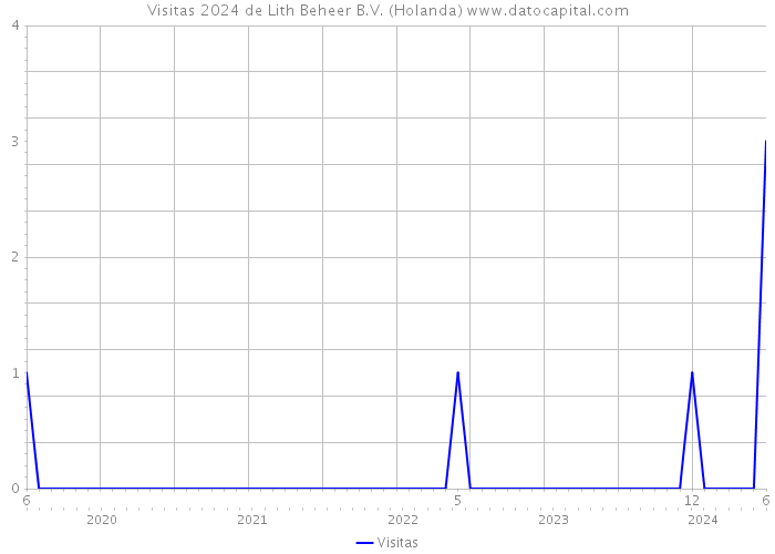 Visitas 2024 de Lith Beheer B.V. (Holanda) 