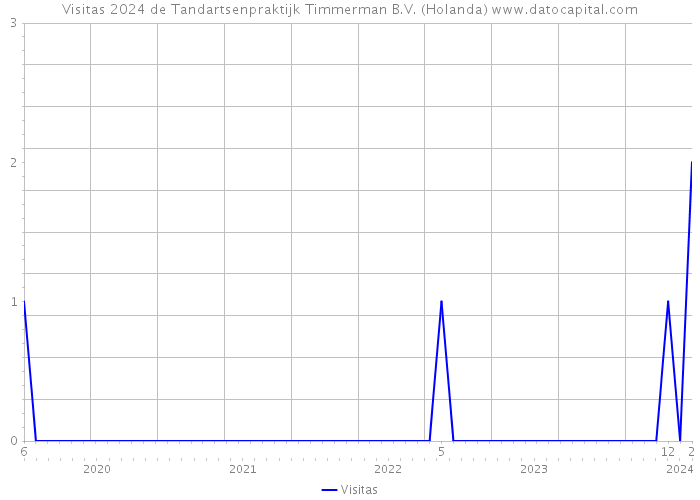 Visitas 2024 de Tandartsenpraktijk Timmerman B.V. (Holanda) 