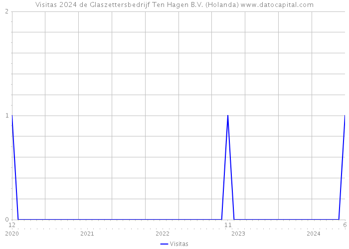 Visitas 2024 de Glaszettersbedrijf Ten Hagen B.V. (Holanda) 