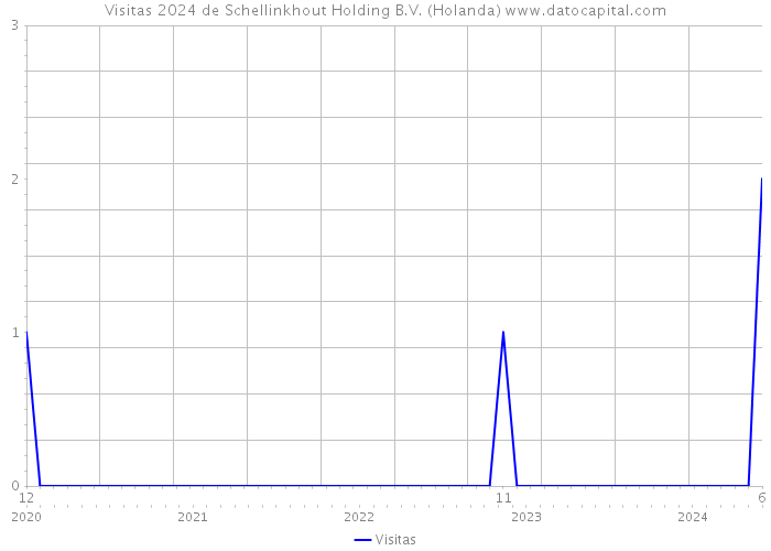 Visitas 2024 de Schellinkhout Holding B.V. (Holanda) 