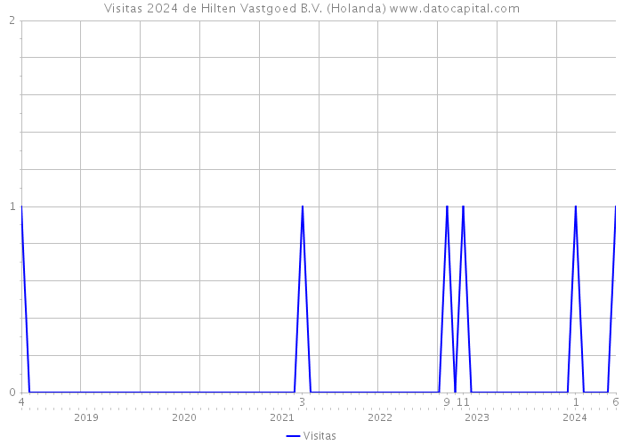 Visitas 2024 de Hilten Vastgoed B.V. (Holanda) 