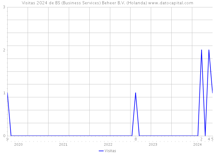 Visitas 2024 de BS (Business Services) Beheer B.V. (Holanda) 