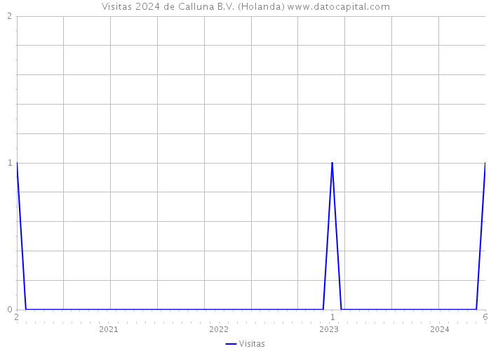 Visitas 2024 de Calluna B.V. (Holanda) 