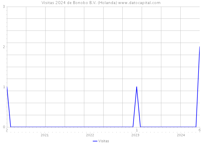 Visitas 2024 de Bonobo B.V. (Holanda) 