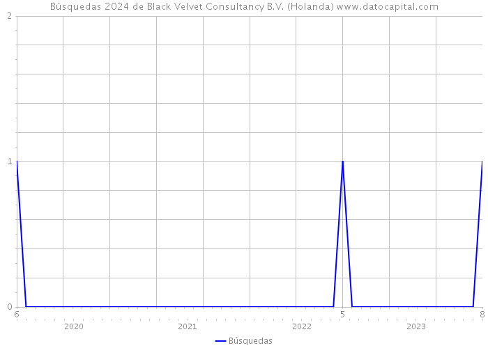 Búsquedas 2024 de Black Velvet Consultancy B.V. (Holanda) 