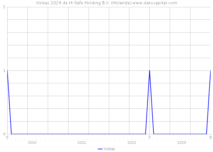 Visitas 2024 de H-Safe Holding B.V. (Holanda) 