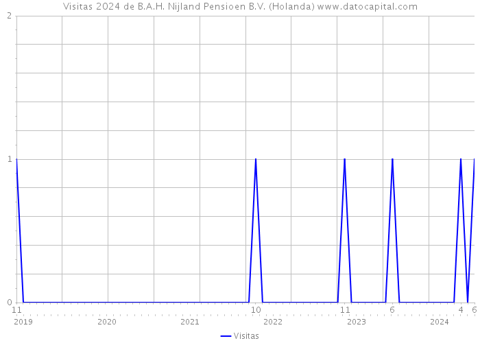 Visitas 2024 de B.A.H. Nijland Pensioen B.V. (Holanda) 