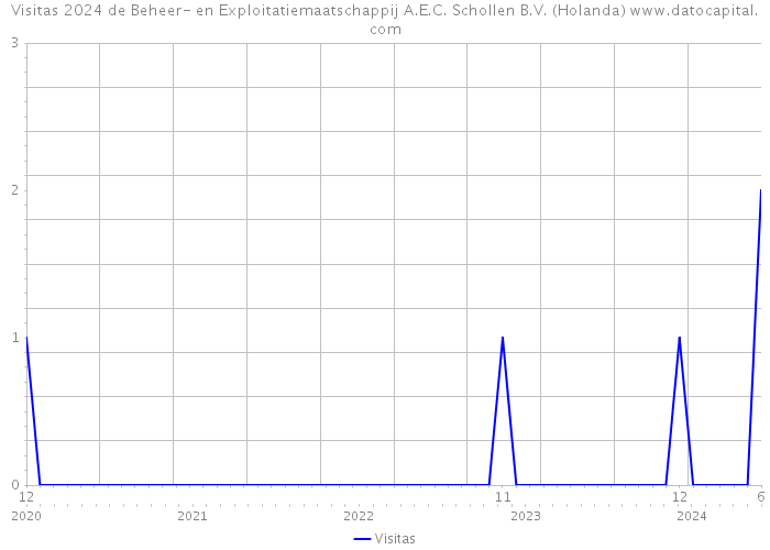 Visitas 2024 de Beheer- en Exploitatiemaatschappij A.E.C. Schollen B.V. (Holanda) 