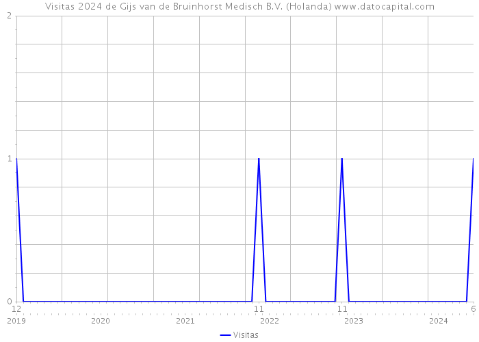 Visitas 2024 de Gijs van de Bruinhorst Medisch B.V. (Holanda) 