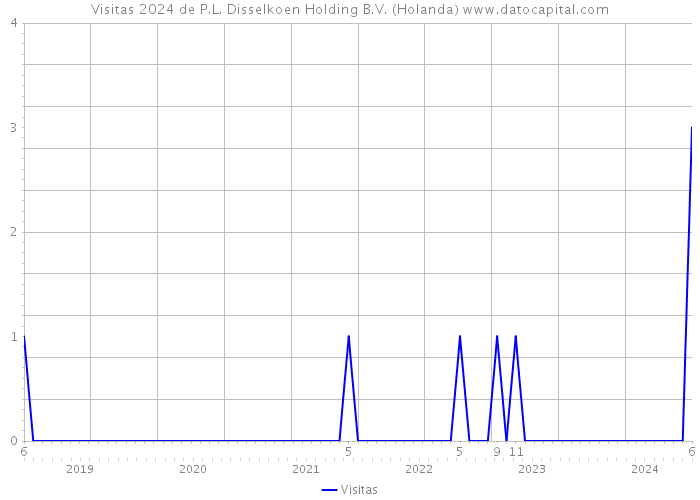 Visitas 2024 de P.L. Disselkoen Holding B.V. (Holanda) 