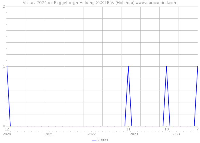 Visitas 2024 de Reggeborgh Holding XXXII B.V. (Holanda) 