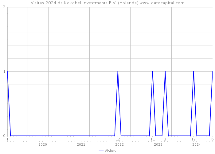 Visitas 2024 de Kokobel Investments B.V. (Holanda) 