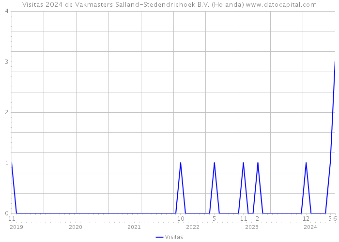Visitas 2024 de Vakmasters Salland-Stedendriehoek B.V. (Holanda) 