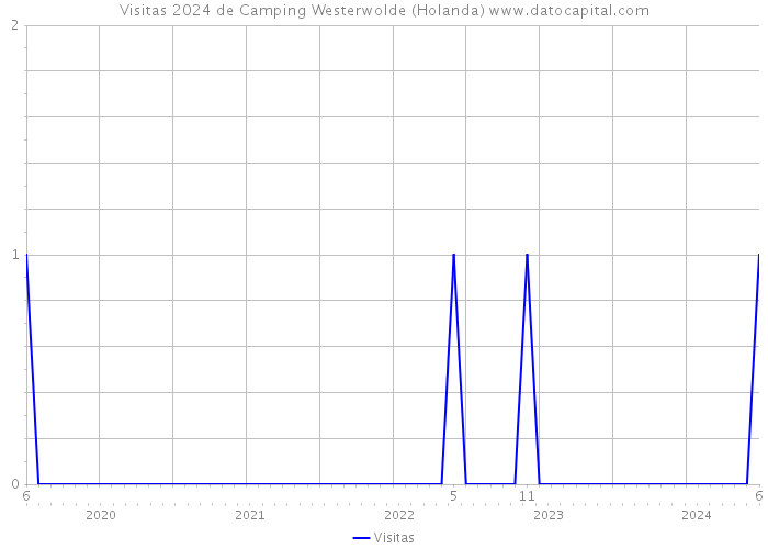 Visitas 2024 de Camping Westerwolde (Holanda) 