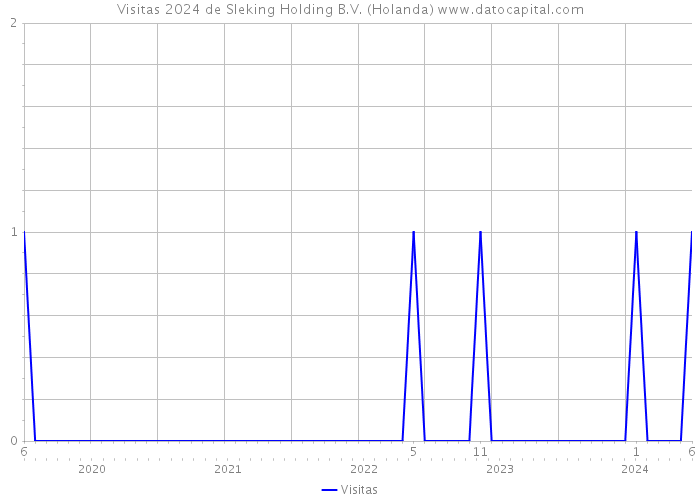 Visitas 2024 de Sleking Holding B.V. (Holanda) 