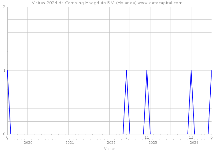 Visitas 2024 de Camping Hoogduin B.V. (Holanda) 