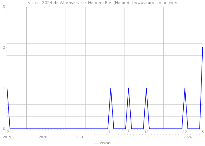 Visitas 2024 de Woonservices Holding B.V. (Holanda) 