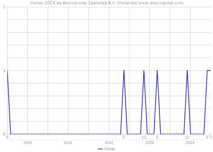 Visitas 2024 de Betonpomp Zaanstad B.V. (Holanda) 